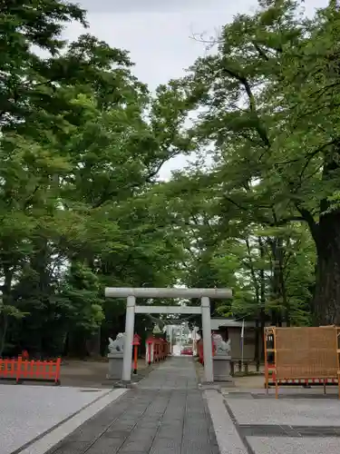 上野総社神社(群馬県)