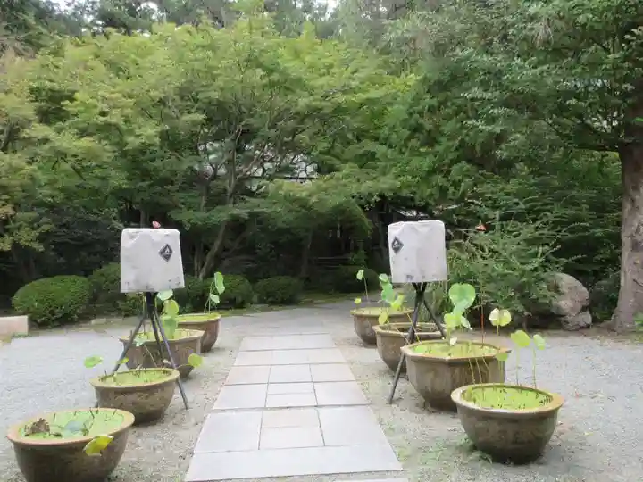 覚園寺(神奈川県)