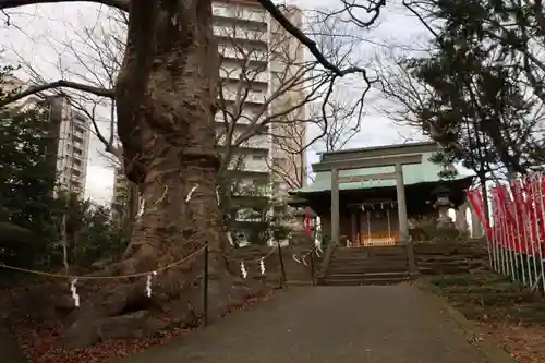 愛宕神社の景色