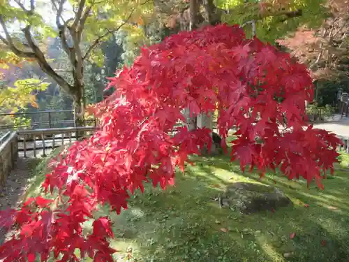長谷寺(奈良県)
