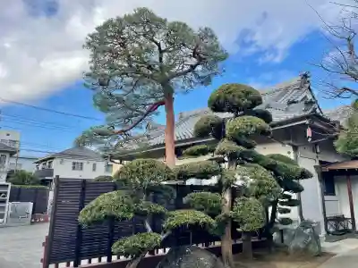 大法寺(東京都)