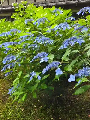 當麻寺(奈良県)