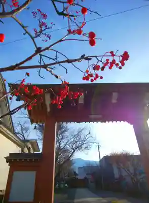 帰厚院の山門・神門