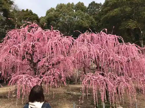 結城神社(三重県)