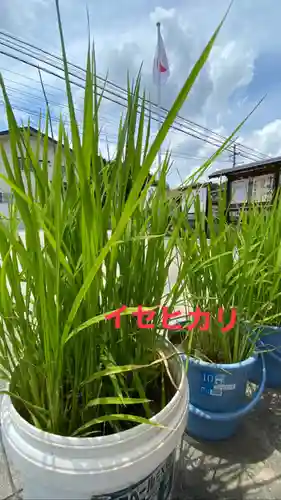 大鏑神社(福島県)