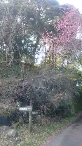 北野神社の自然