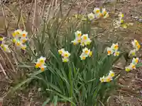 長楽寺(兵庫県)