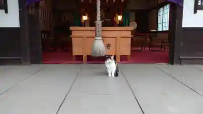猿田彦神社の本殿・本堂