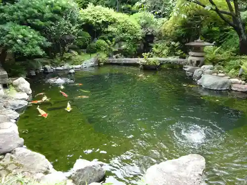 感通寺の庭園