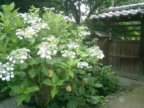 實相寺（実相寺）の庭園