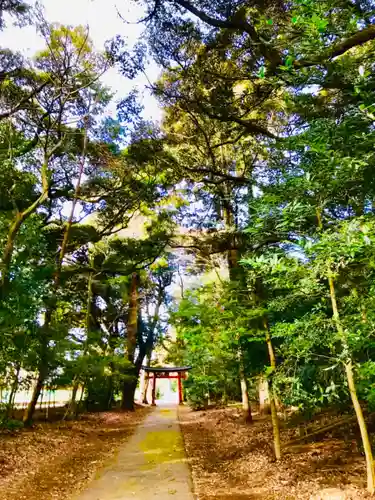 日枝神社の鳥居