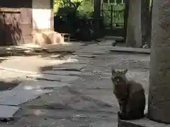 小野照崎神社の動物