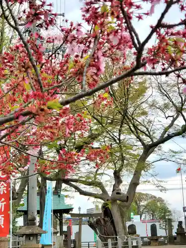 阿邪訶根神社(福島県)