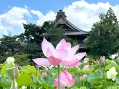 信濃國分寺(長野県)