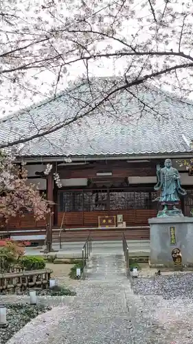 墨染寺（桜寺）(京都府)