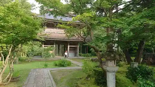 林泉寺の庭園