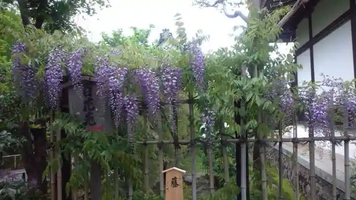 天龍寺(京都府)