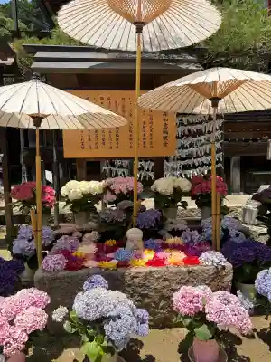 岡寺（龍蓋寺）(奈良県)