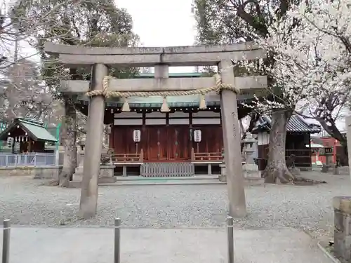 赤留比売命神社（杭全神社飛地境内社）の鳥居