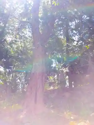 新溝神社のその他建物