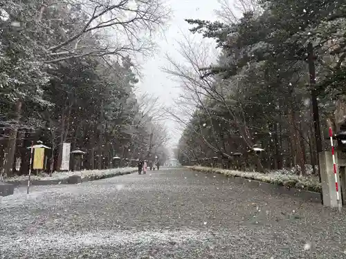 北海道神宮の景色
