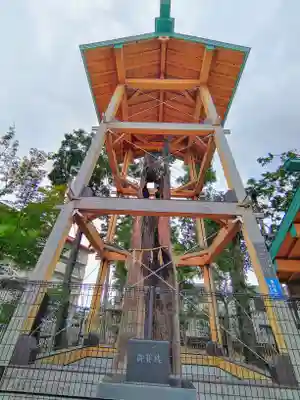 西八龍社の自然