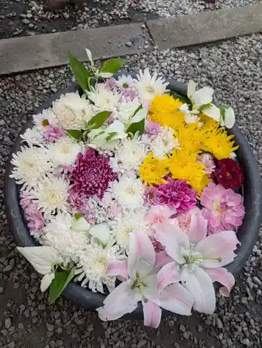 埼玉厄除け開運大師・龍泉寺（切り絵御朱印発祥の寺）(埼玉県)