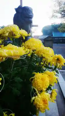 尾張大國霊神社(国府宮)の狛犬