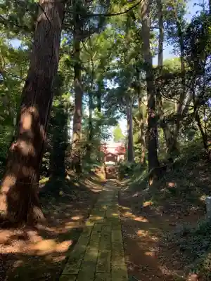 八幡神社(千葉県)