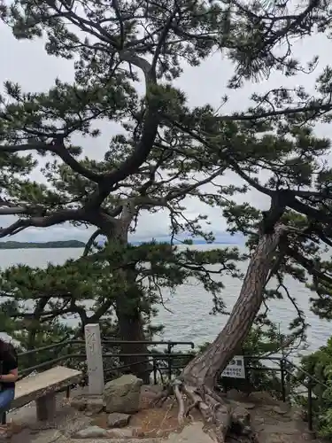 八百富神社の自然