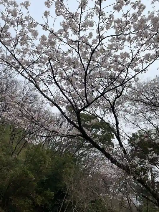洞川八大龍王(兵庫県)