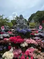 南法華寺(壷阪寺)(奈良県)