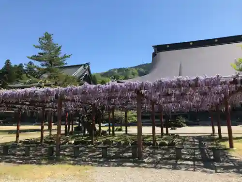 井波別院瑞泉寺(富山県)