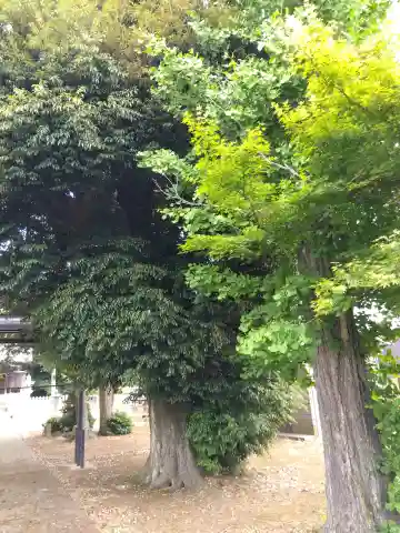 神明神社の{uncategorized: "未分類", other: "その他", undefined: "問題あり", building: "その他建物", grave: "お墓", sacred_gate: "鳥居", guardian: "狛犬", statue: "像", buddha: "仏像", history: "歴史", nature: "自然", garden: "庭園", animal: "動物", pagoda: "塔", temizu: "手水舎", mountain_gate: "山門・神門", sanctuary: "本殿・本堂", subordinate: "末社・摂社", art: "芸術", scenery: "景色", jizo: "地蔵", ema: "絵馬", goshuin: "御朱印", omikuji: "おみくじ", items: "授与品その他", amulet: "お守り", goshuincho: "御朱印帳", eats: "食事", festival: "お祭り", votive_dance: "神楽", shichigosan: "七五三参", wedding: "結婚式", experience: "体験その他", initially: "初詣", around: "周辺", anti_infection: "感染症対策"}