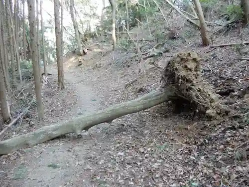 矢田寺の自然