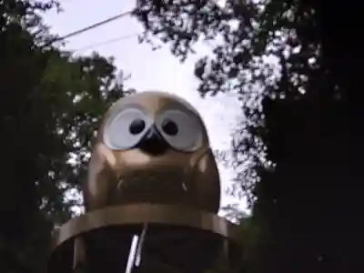 鷲子山上神社(栃木県)