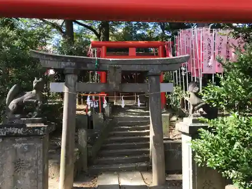 安積國造神社の鳥居