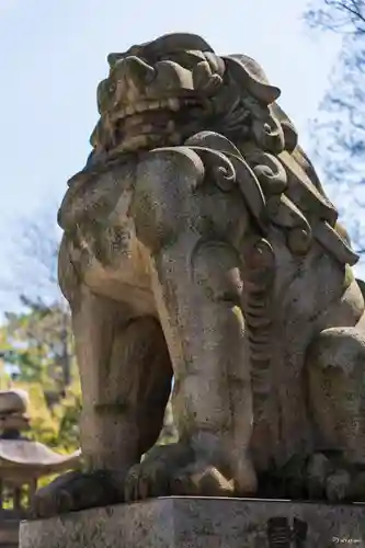 住吉大社(大阪府)