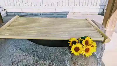 白金氷川神社の手水舎