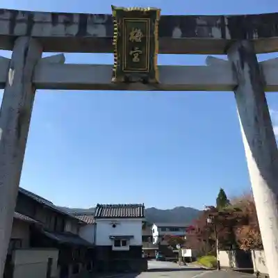 梅宮大社の鳥居