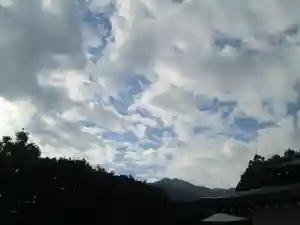 屋久島大社の自然(2022年11月11日(金) 14時13分15秒投稿)