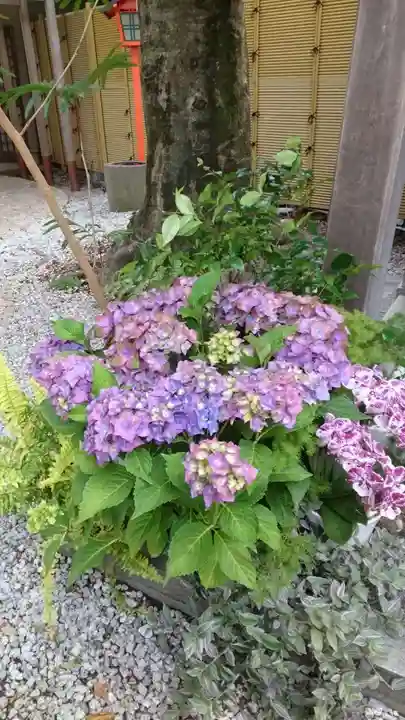 蛇窪神社(東京都)