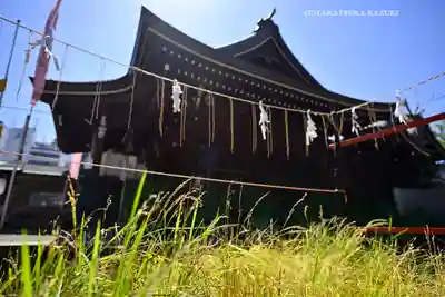 磐井神社(東京都)