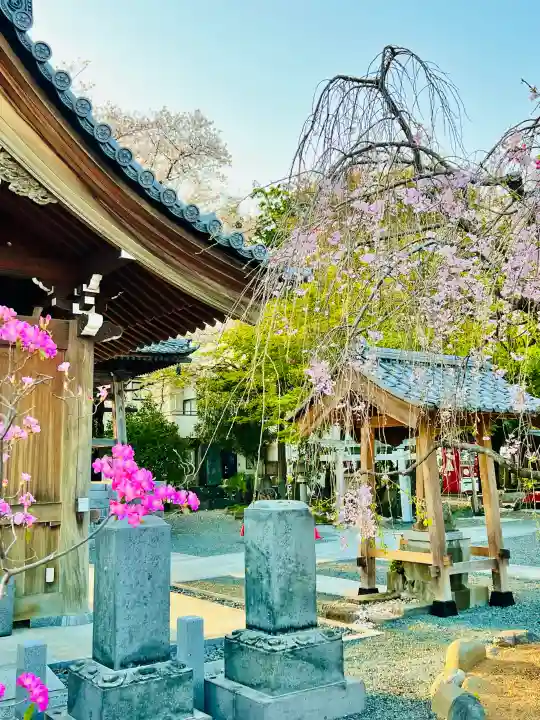 日限地蔵尊 観音院の{uncategorized: "未分類", other: "その他", undefined: "問題あり", building: "その他建物", grave: "お墓", sacred_gate: "鳥居", guardian: "狛犬", statue: "像", buddha: "仏像", history: "歴史", nature: "自然", garden: "庭園", animal: "動物", pagoda: "塔", temizu: "手水舎", mountain_gate: "山門・神門", sanctuary: "本殿・本堂", subordinate: "末社・摂社", art: "芸術", scenery: "景色", jizo: "地蔵", ema: "絵馬", goshuin: "御朱印", omikuji: "おみくじ", items: "授与品その他", amulet: "お守り", goshuincho: "御朱印帳", eats: "食事", festival: "お祭り", votive_dance: "神楽", shichigosan: "七五三参", wedding: "結婚式", experience: "体験その他", initially: "初詣", around: "周辺", anti_infection: "感染症対策"}