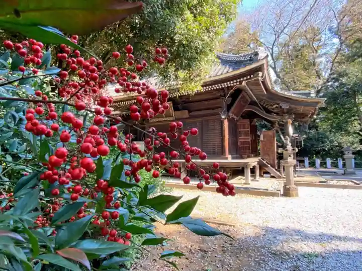 佐野赤城神社(栃木県)