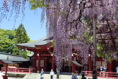 笠間稲荷神社の庭園