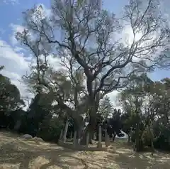 高田八幡神社(兵庫県)