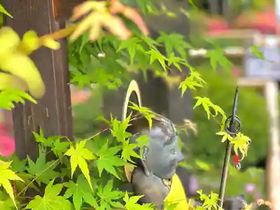 白蓮坊のその他建物