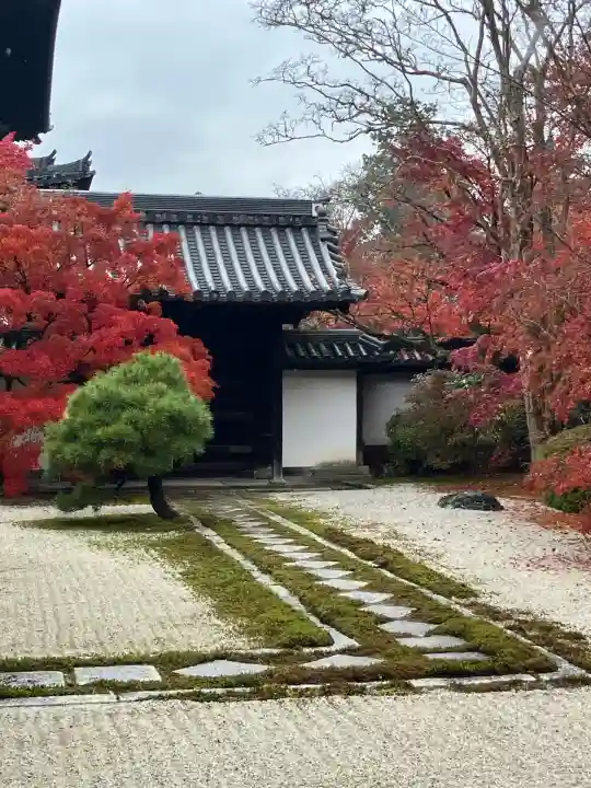 天授庵(京都府)