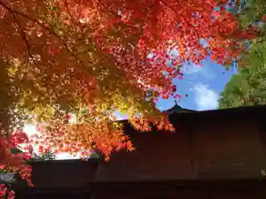 滑川神社 - 仕事と子どもの守り神(福島県)(2024年11月22日(金) 19時51分06秒投稿)